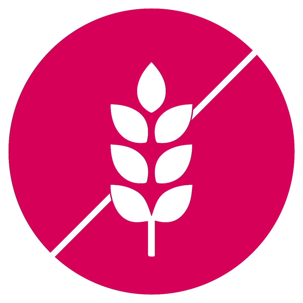 Sans gluten Icon