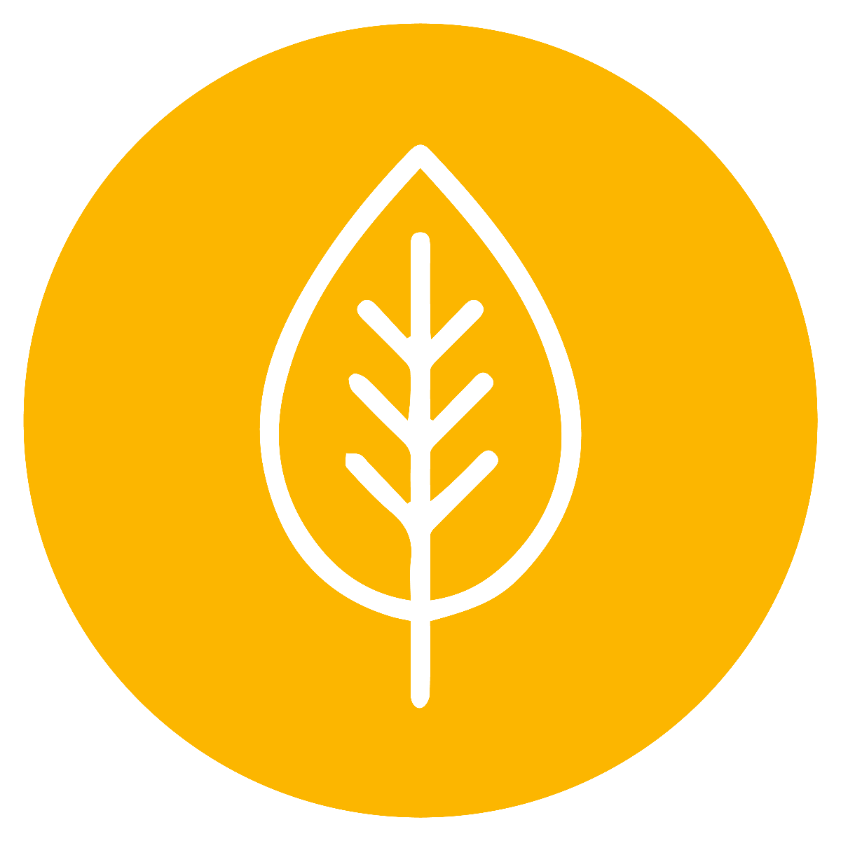 Des ingredients tout simples Icon